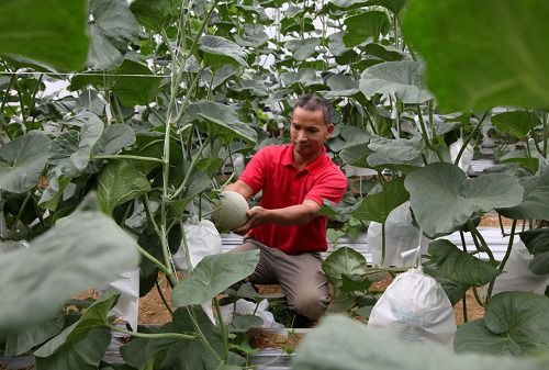 喜看連樟村 今日面貌新 機械設備研發(fā)助推鄉(xiāng)村振興