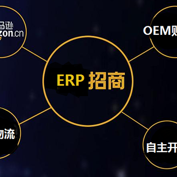跨境電商ERP系統(tǒng),支持OEM貼牌定制服務(wù)器獨(dú)立部署