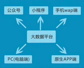 erp erp的分類