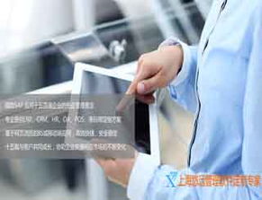 供應(yīng)軟件定制專家 erp軟件定制 企業(yè)管理軟件定制 上海悠遠(yuǎn)