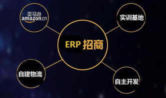 跨境電商高速輝煌發展,亞馬遜無貨源店鋪erp系統定制