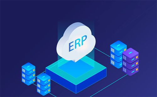 erp系統開發 erp軟件平臺源碼公司搭建定制方案