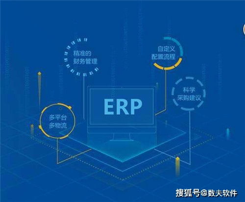 erp二次開發面臨的風險及應對策略