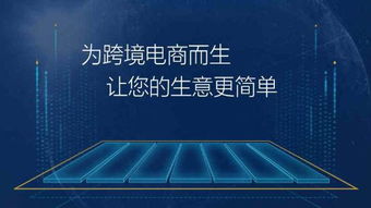 河北邯鄲麥億易,專注于亞馬遜無貨源erp系統開發定制
