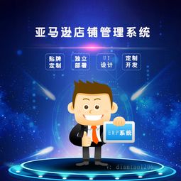 河南亞馬遜erp系統(tǒng)貼牌代理定制開發(fā)哪家便宜